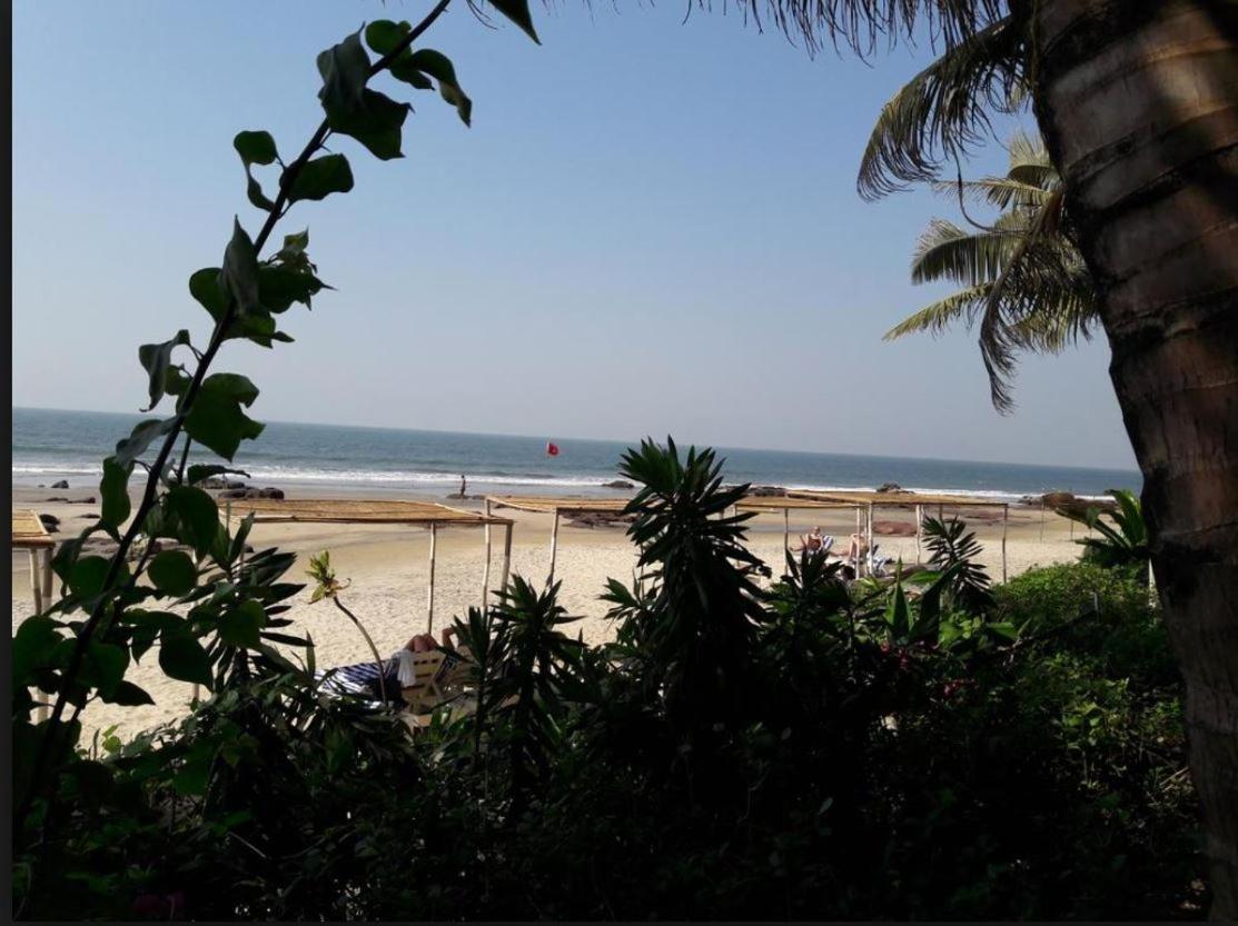 Hotel Shiva Ashvem Ashvem Beach Kültér fotó